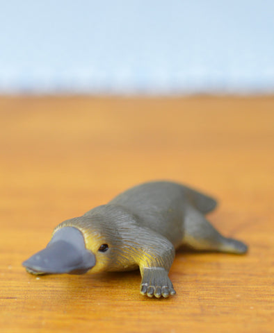 Science and Nature Platypus